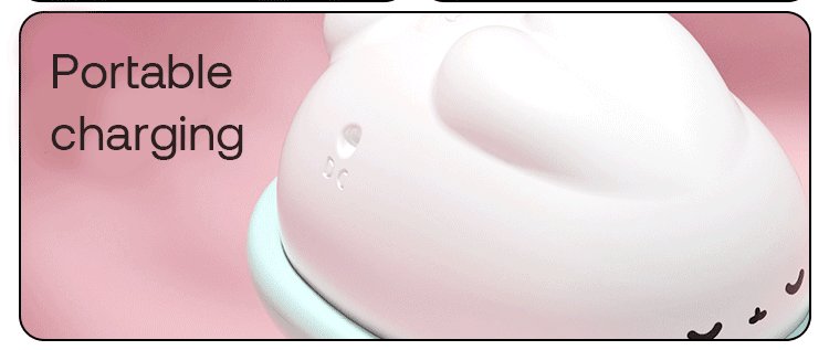1-1 White Bunny - 图片 4